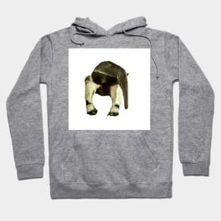 Giant anteater Hoodie